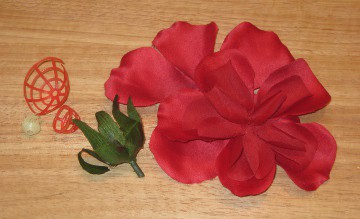 Rose_Apart Rose taken apart